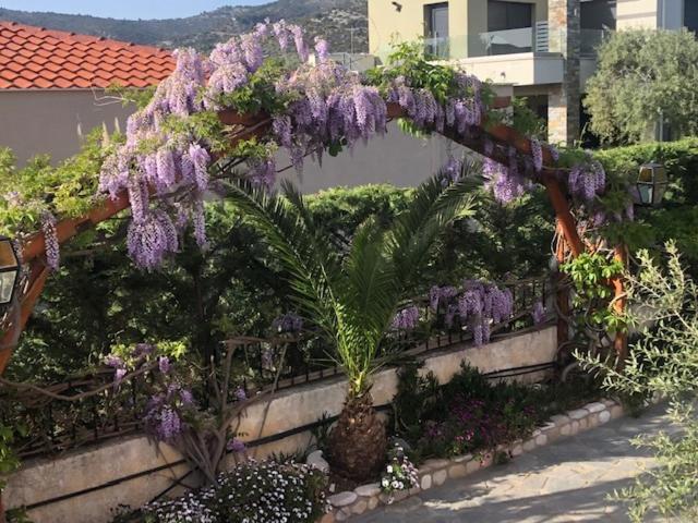 Aegean Villas Potos Exteriör bild